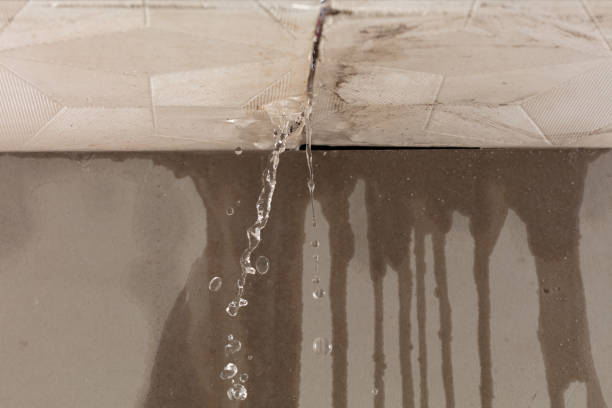 Professional Structural Drying technician working in Omaha, TX